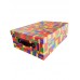 CAJA C/MANIJA Y REMACHE 45X31X16 GRANDE