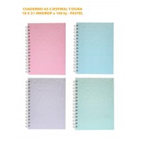 CUADERNO C/E 16X21 100HJ INKDROP